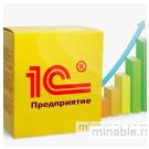 Внедрение и сопровождение программных продуктов 1С Предприятие