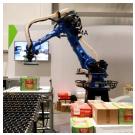 Роботы Boston Dynamics получат 3D-зрение