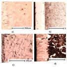 Жидкостное борировани