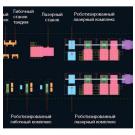 Первый в России