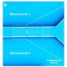 Фемтосекундные лазеры для двухфотонной фотолитографии в нано- и микрофлюидике