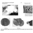 ПОЛУЧЕНИЕ ТУГОПЛАВКИХ НЕОРГАНИЧЕСКИХ СОЕДИНЕНИЙ И ИЗДЕЛИЙ МЕТОДАМИ СВС-БАРОТЕРМИИ